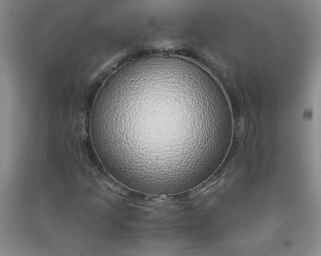 X0000090901205200708201710