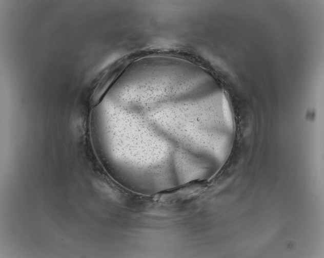 X0000090901206200708201710