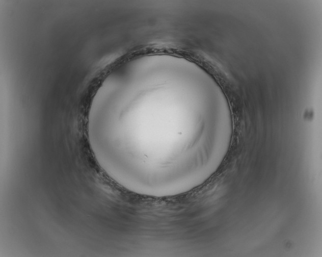 X0000090901207200708201710