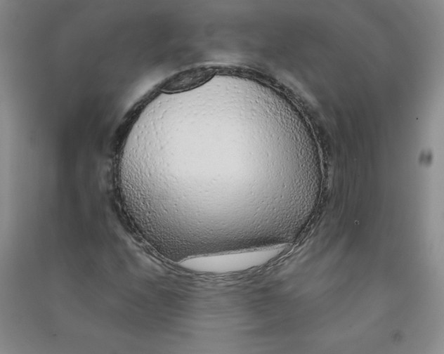 X0000090901208200708201710