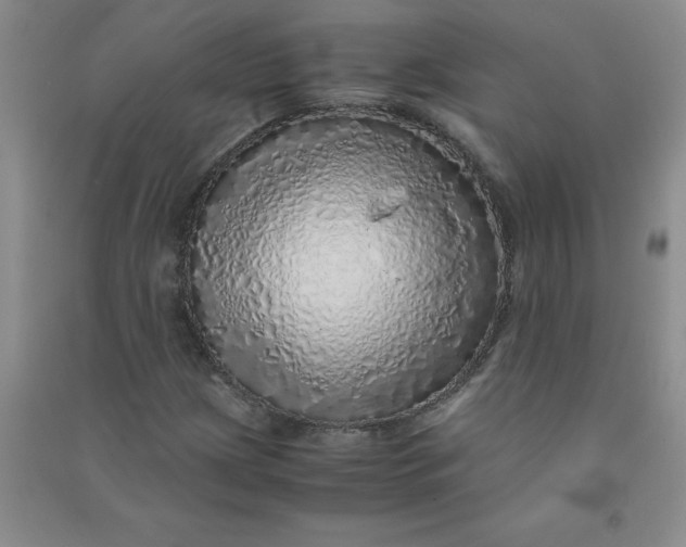 X0000090901209200708201710