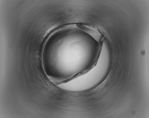 X0000090901210200708201710