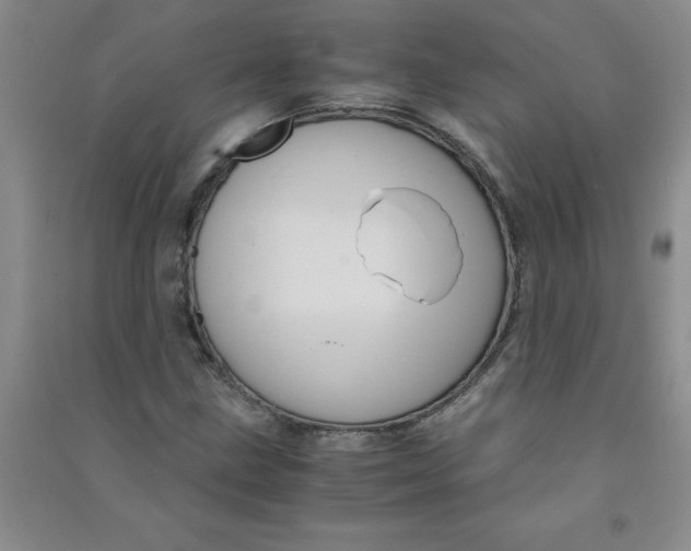 X0000090901211200708201710