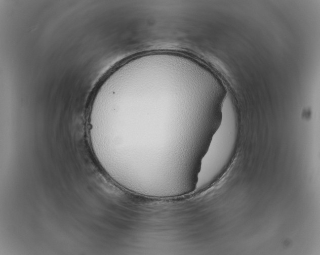 X0000090901212200708201710