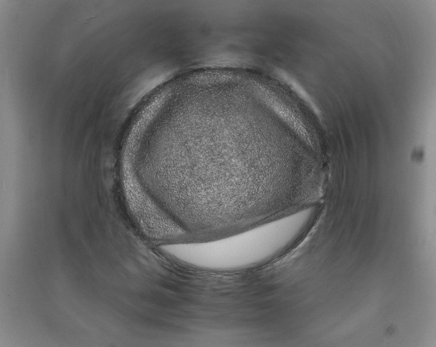 X0000090901213200708201710