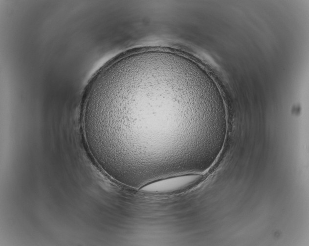 X0000090901216200708201710