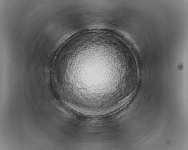 X0000090901217200708201710