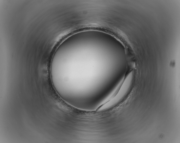 X0000090901218200708201710