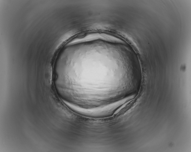 X0000090901219200708201710