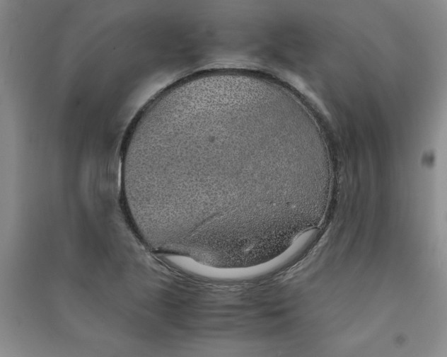 X0000090901221200708201710