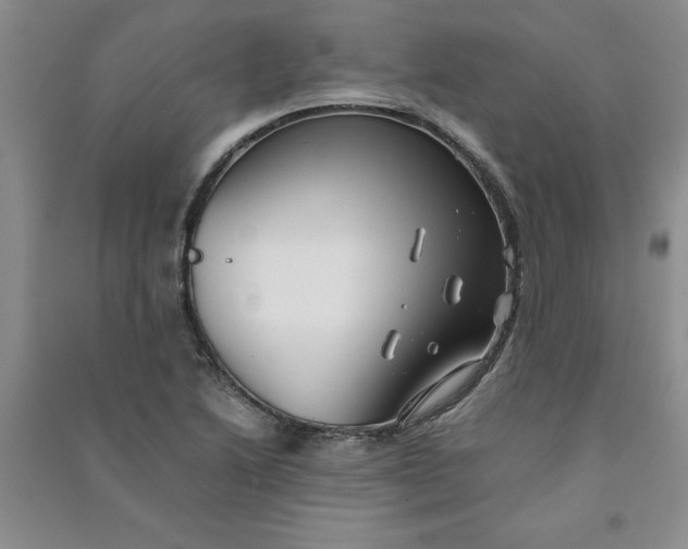 X0000090901222200708201710