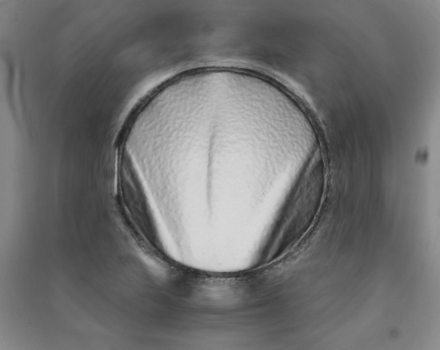 X0000090901223200708201710