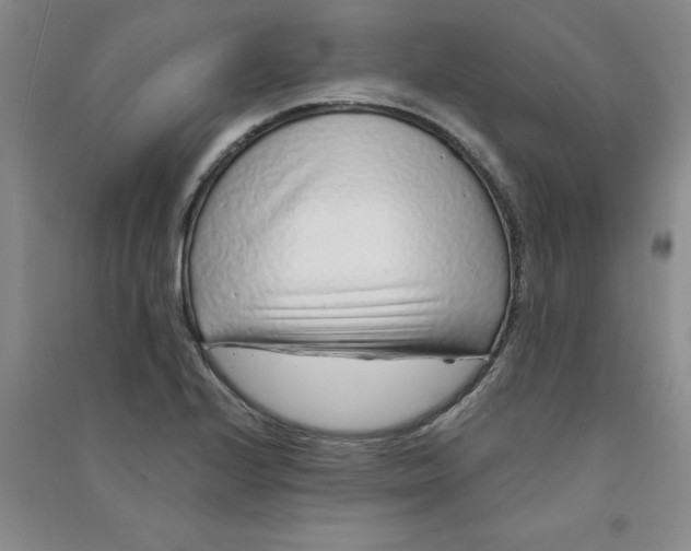 X0000090901224200708201710