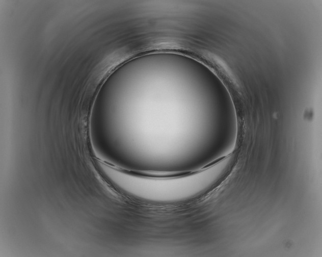 X0000090901225200708201710