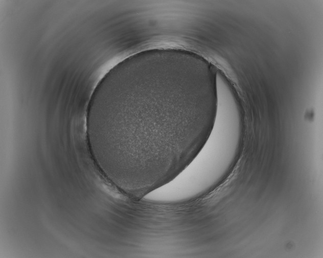 X0000090901226200708201710