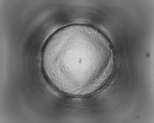 X0000090901227200708201710