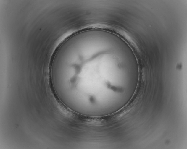 X0000090901229200708201710