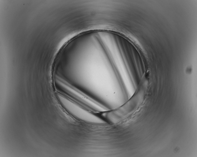 X0000090901230200708201710