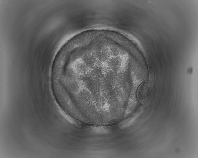 X0000090901231200708201710