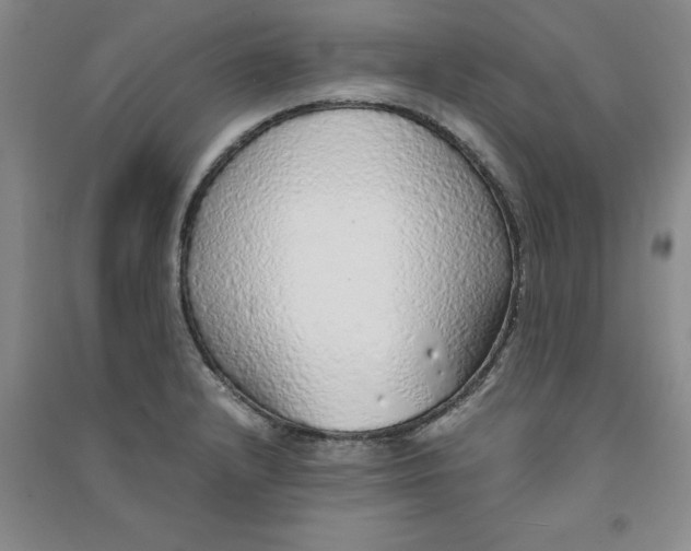 X0000090901232200708201710