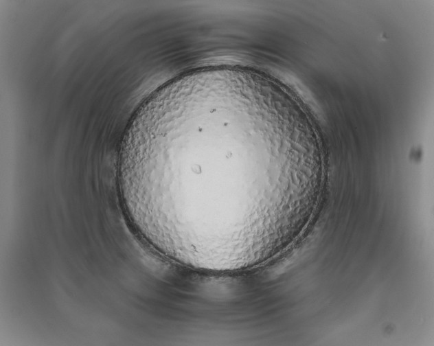 X0000090901233200708201710