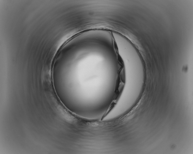 X0000090901234200708201710