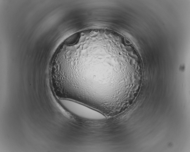 X0000090901235200708201710