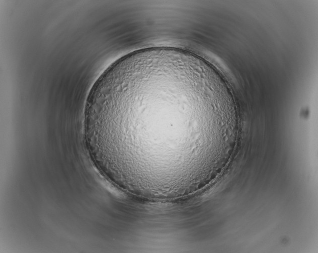 X0000090901236200708201710