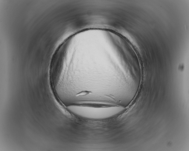 X0000090901237200708201710