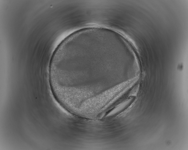 X0000090901239200708201710