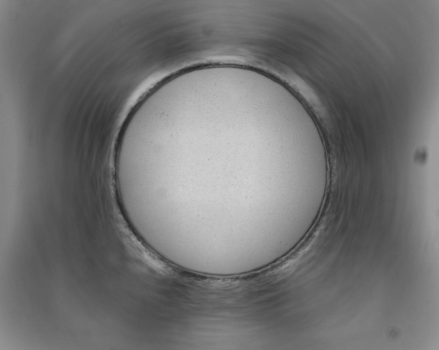 X0000090901240200708201710