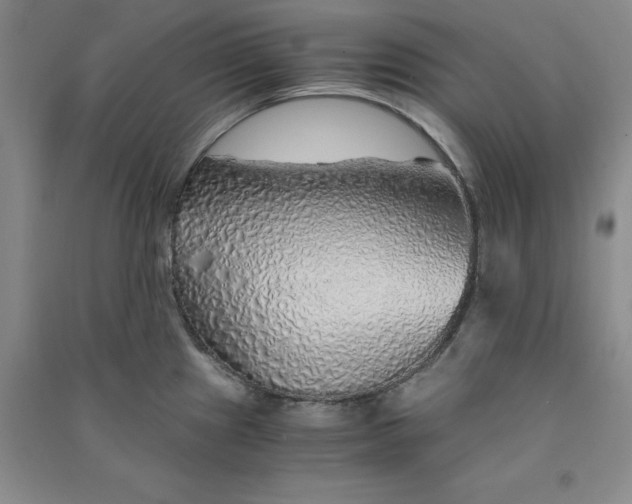 X0000090901241200708201710