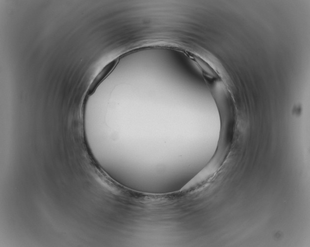 X0000090901242200708201711