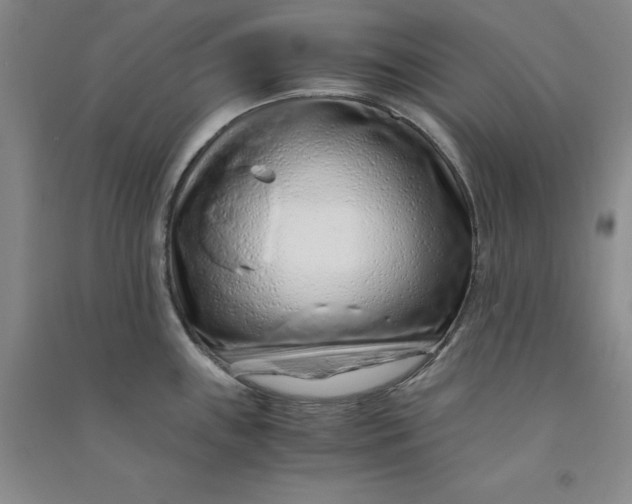 X0000090901243200708201711