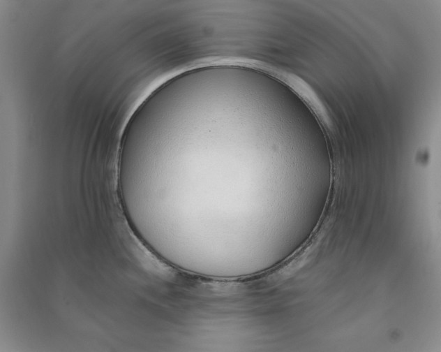 X0000090901244200708201711