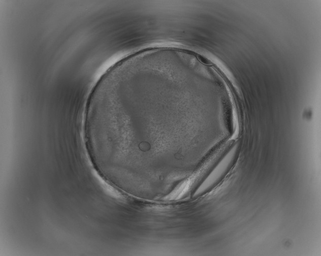 X0000090901245200708201711