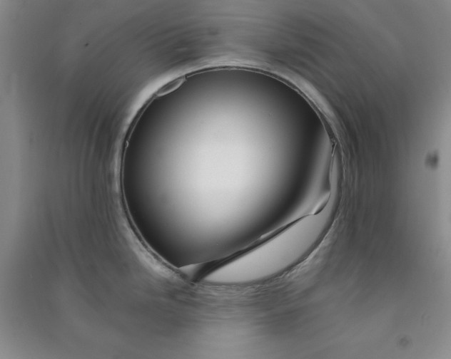 X0000090901246200708201711