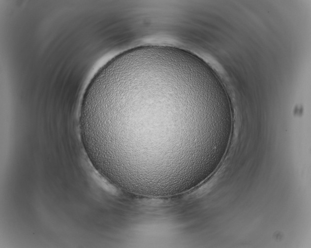 X0000090901248200708201711