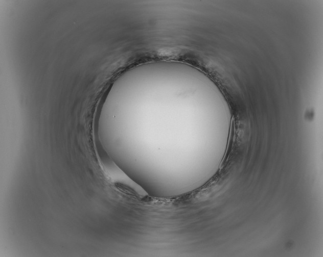 X0000090901249200708201710