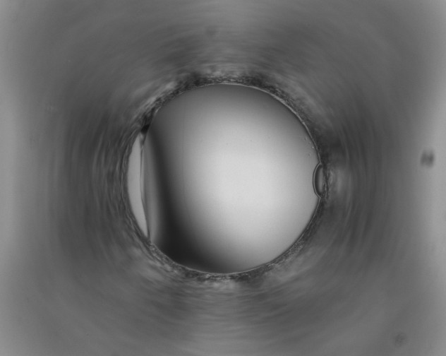 X0000090901250200708201710