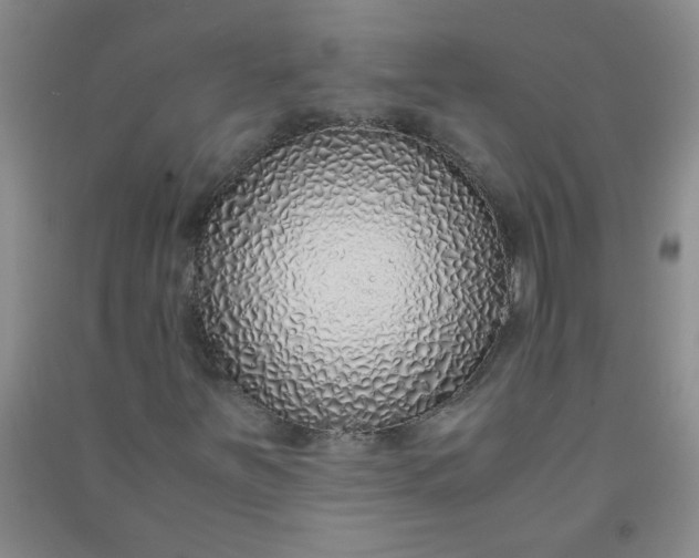 X0000090901251200708201710