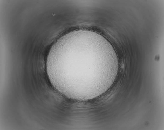 X0000090901252200708201710