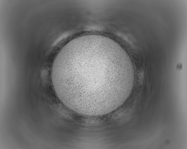 X0000090901254200708201710