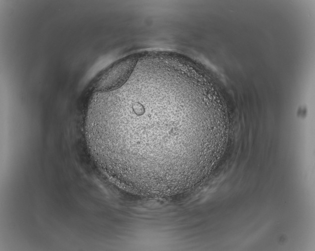 X0000090901255200708201710