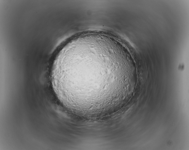 X0000090901256200708201710