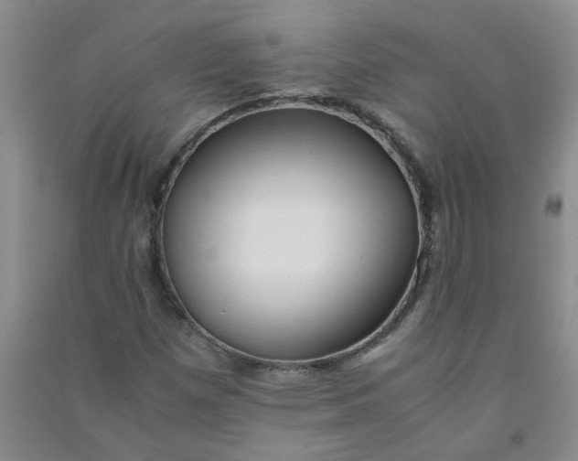 X0000090901257200708201710