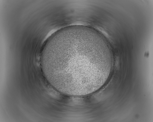 X0000090901258200708201710