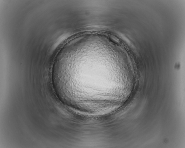 X0000090901259200708201710