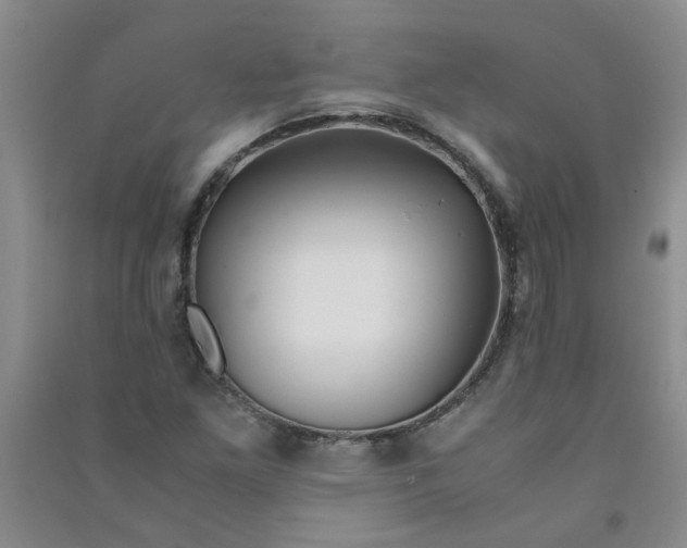 X0000090901261200708201710