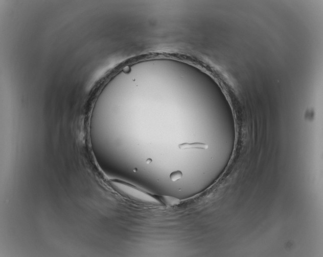 X0000090901262200708201710